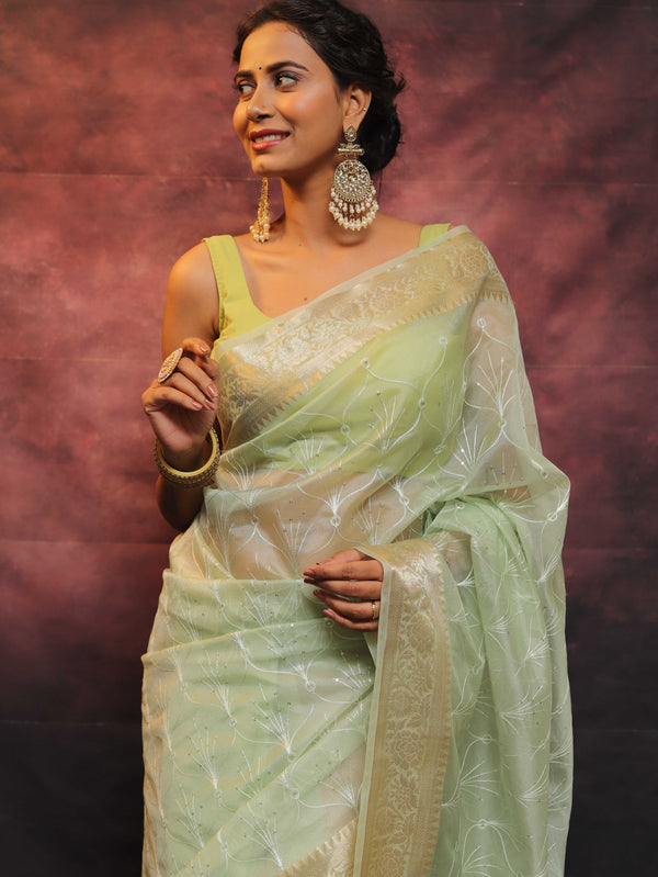 Banarasee Organza Floral Embroidery Sequin Work Saree-Pastel Green