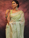 Banarasee Organza Floral Embroidery Sequin Work Saree-Pastel Green