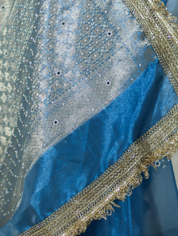 Banarasee Tissue Saree With Handwork Pearl Motifs Zari Border & Lace-Sky Blue