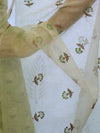 Banarasee Embroidered Chanderi Salwar Kameez With Kota Check Dupatta Set-Light Green