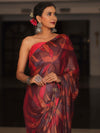 Banarasee Abstract Print Tissue Saree With Contrast Embroidered Blouse-Multicolor