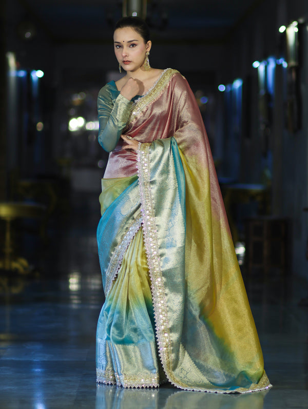 Banarasee Plain Tissue Hand Embroidered Lace Saree-Multicolor