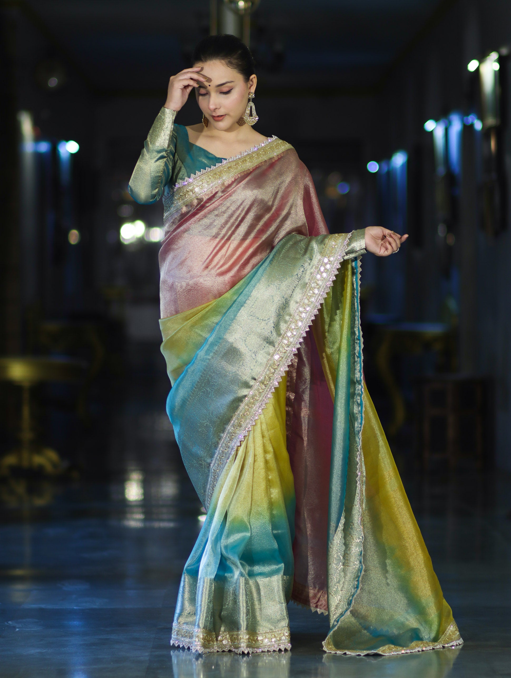Banarasee Plain Tissue Hand Embroidered Lace Saree-Multicolor