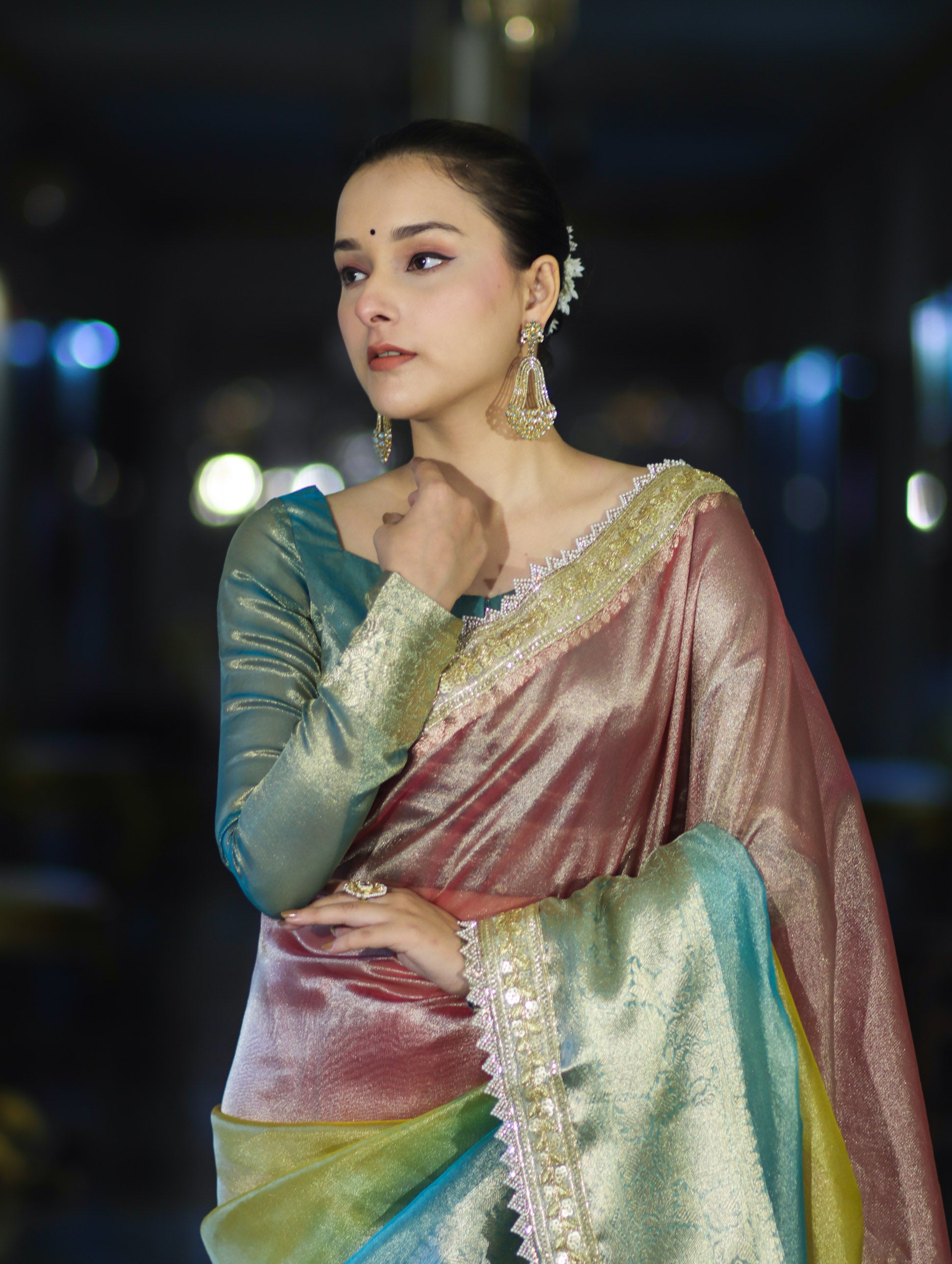 Banarasee Plain Tissue Hand Embroidered Lace Saree-Multicolor