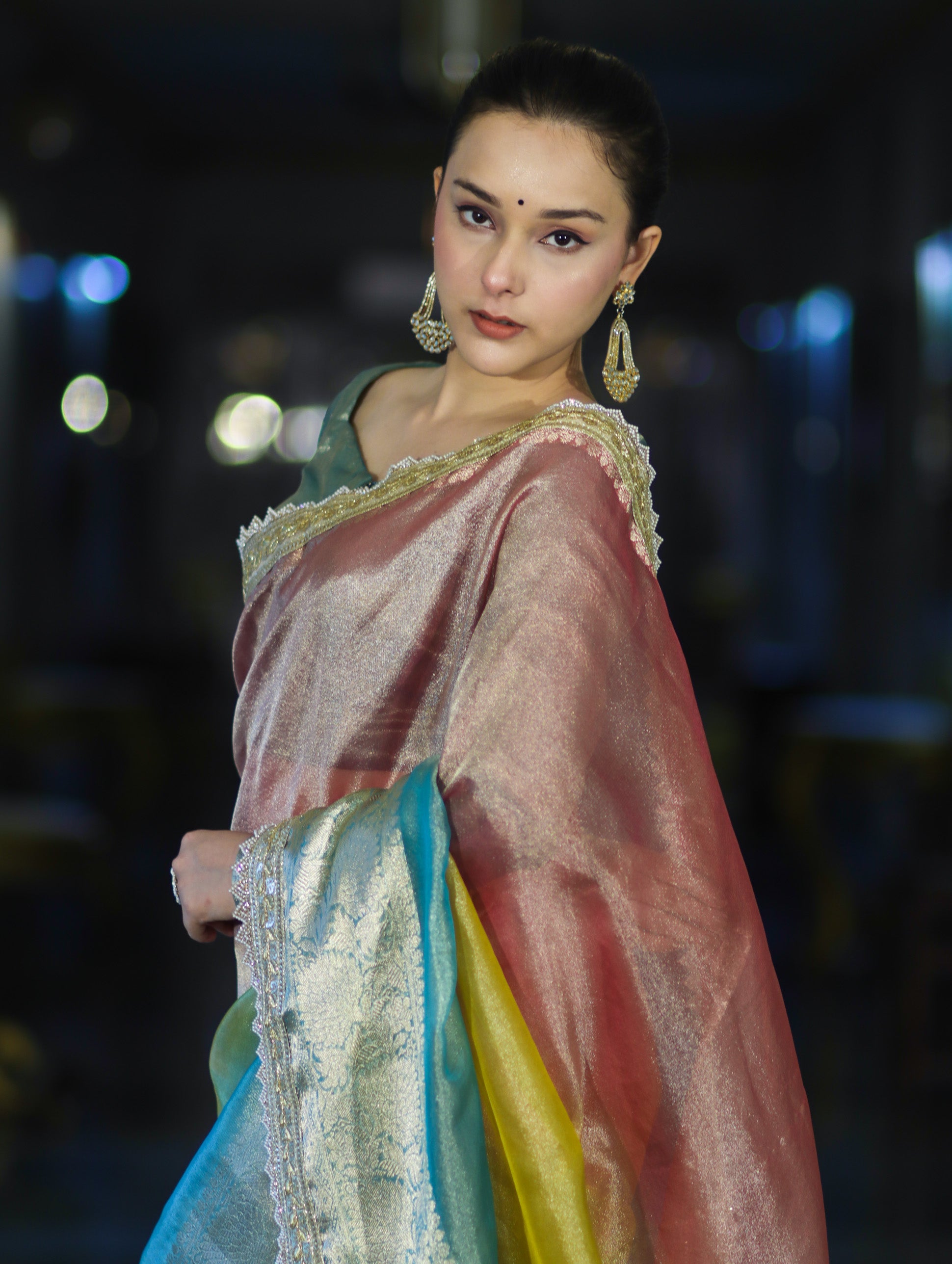 Banarasee Plain Tissue Hand Embroidered Lace Saree-Multicolor