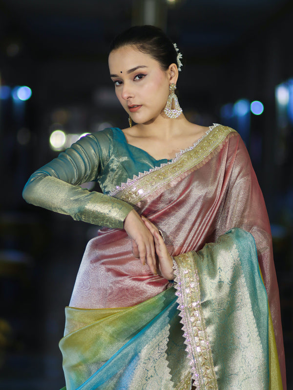 Banarasee Plain Tissue Hand Embroidered Lace Saree-Multicolor
