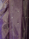 Banarasee Soft Tissue Saree With Hand Embroidered Mirror Work & Zari Stripes Design-Violet