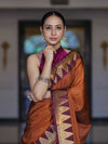 Banarasee Handloom Semi Silk Saree With Checks Design & Contrast Border-Rust & Burgundy