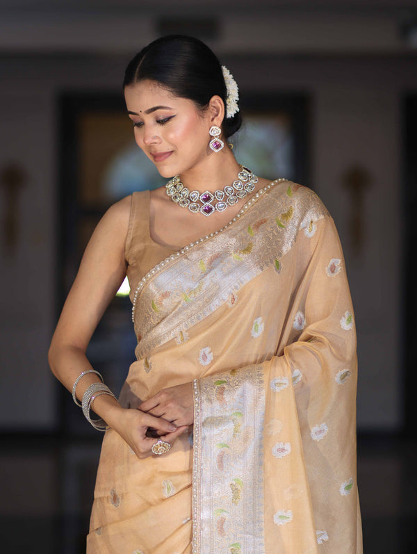 Banarasee Semi Chiffon Saree With Meena Work Silver Zari Border & Lace-Light Beige
