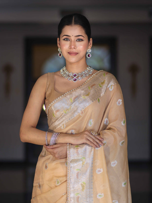 Banarasee Semi Chiffon Saree With Meena Work Silver Zari Border & Lace-Light Beige
