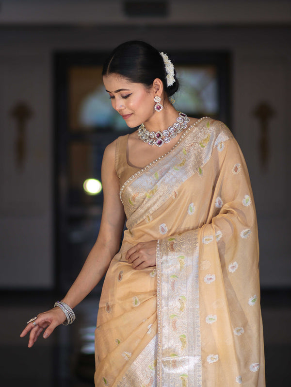 Banarasee Semi Chiffon Saree With Meena Work Silver Zari Border & Lace-Light Beige