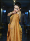 Banarasee Handwoven Semi Silk Shine Saree With Mirror Work-Yellow (Gold Tone)