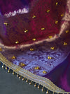 Banarasee Handwoven Tissue Saree With Embroidered Ghungroo Work-Violet