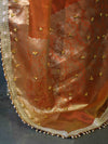 Banarasee Handwoven Tissue Saree With Embroidered Ghungroo Work-Rust (Dual Tone)