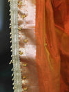 Banarasee Handwoven Tissue Saree With Embroidered Ghungroo Work-Rust (Dual Tone)
