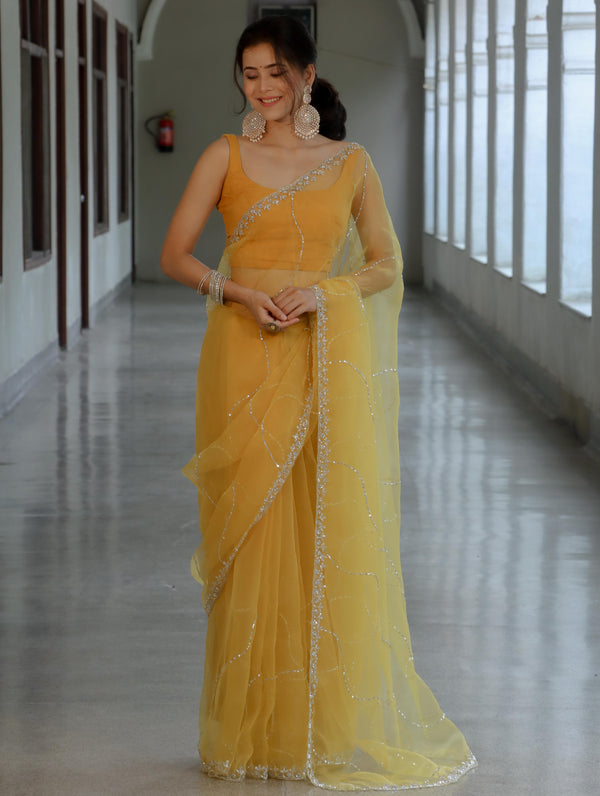 Banarasee Organza Mix Saree With Katdana Handwork-Yellow