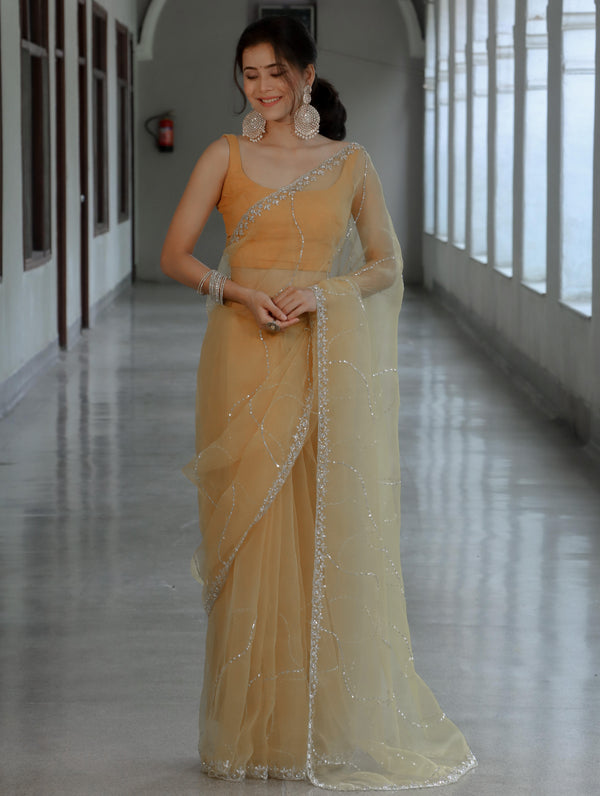 Banarasee Organza Mix Saree With Katdana Handwork-Light Yellow