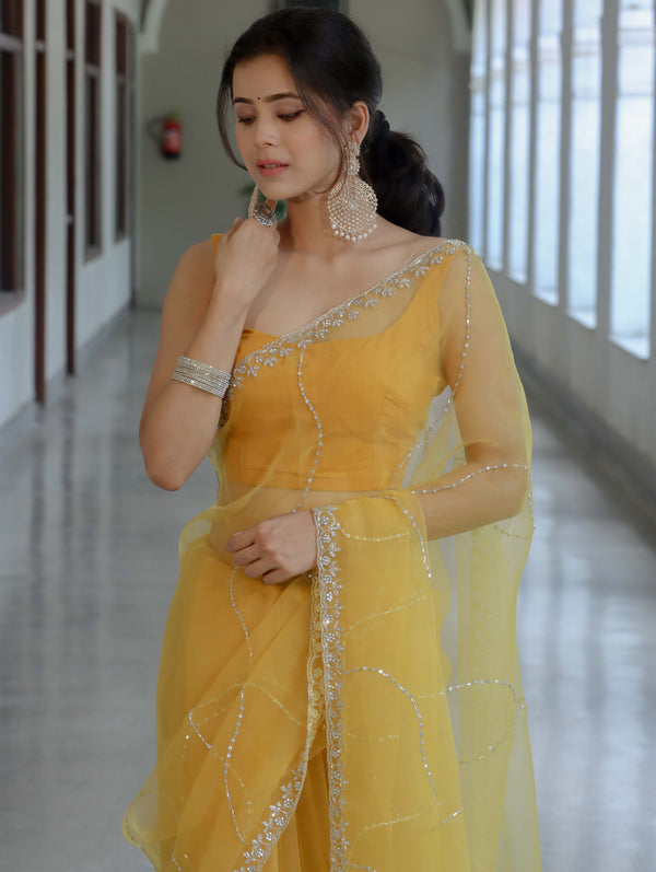 Banarasee Organza Mix Saree With Katdana Handwork-Yellow