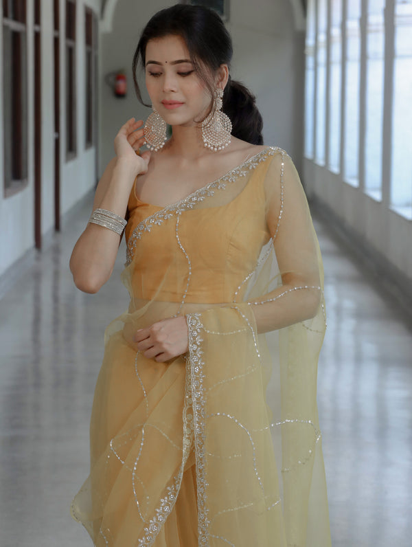 Banarasee Organza Mix Saree With Katdana Handwork-Light Yellow