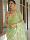 Banarasee Pure Organza Silk Saree With Floral Resham Embroidery-Light Green