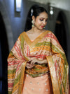 Banarasee Zari & Resham Embroidered Chanderi Salwar Kameez With Multicolor Dupatta Set-Peach