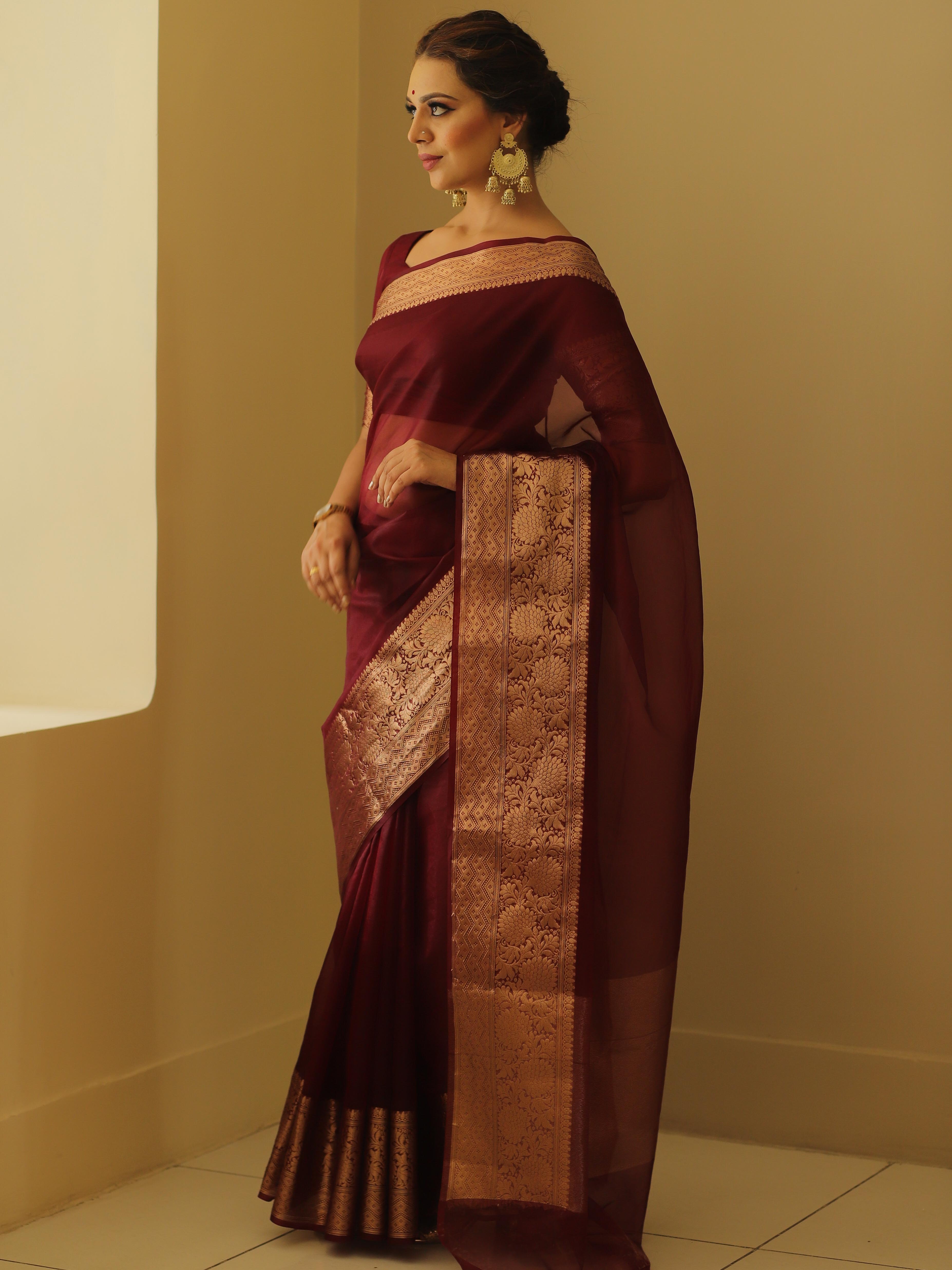 Banarasee Organza Mix Saree With Zari Border-Brown