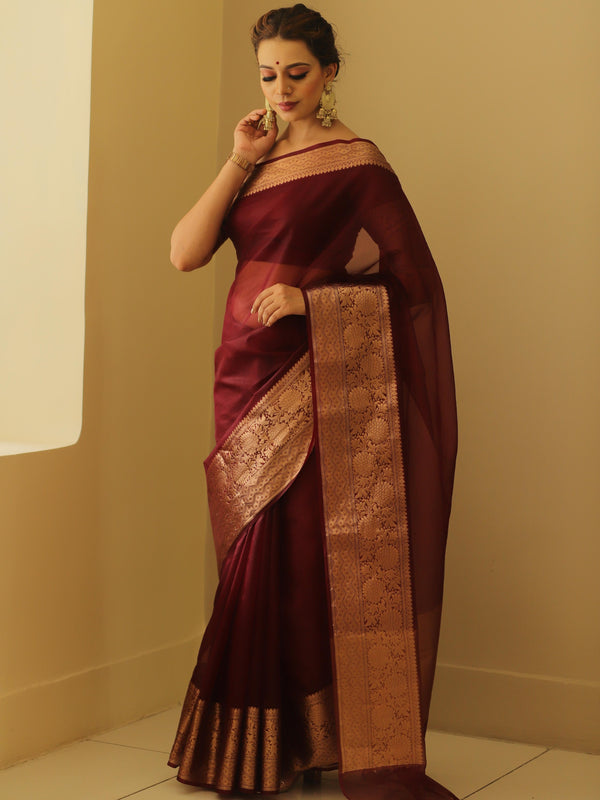 Banarasee Organza Mix Saree With Zari Border-Brown