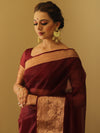 Banarasee Organza Mix Saree With Zari Border-Brown