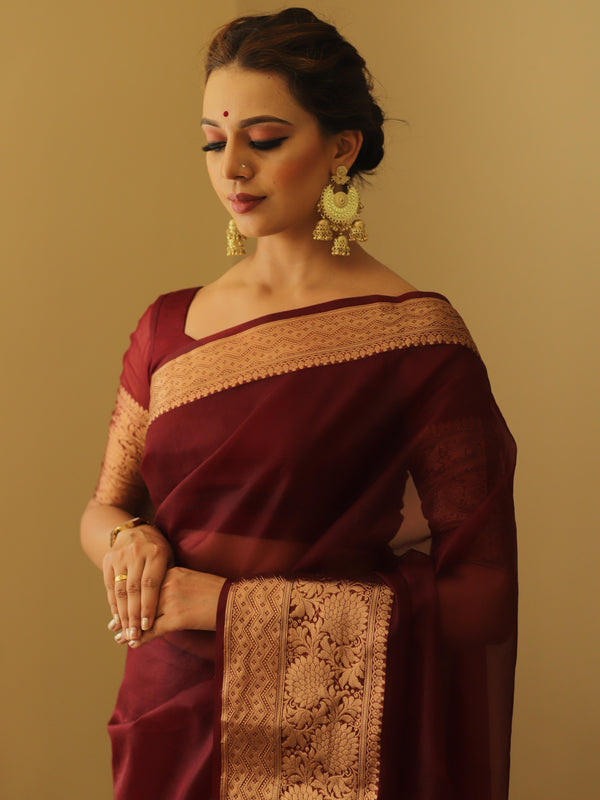 Banarasee Organza Mix Saree With Zari Border-Brown