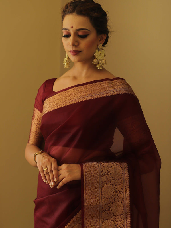 Banarasee Organza Mix Saree With Zari Border-Brown