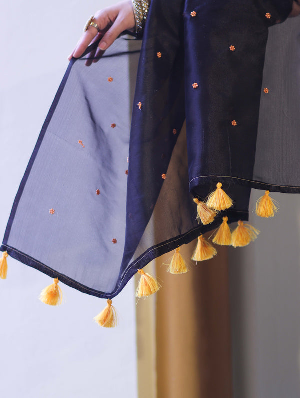 Banarasee Handwoven Tissue Saree With Handwoven Pearl Motifs-Black