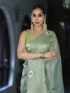 Banarasee Tissue Saree With Resham Embroidery Applique Work Pallu & Scallop Border-Light Green