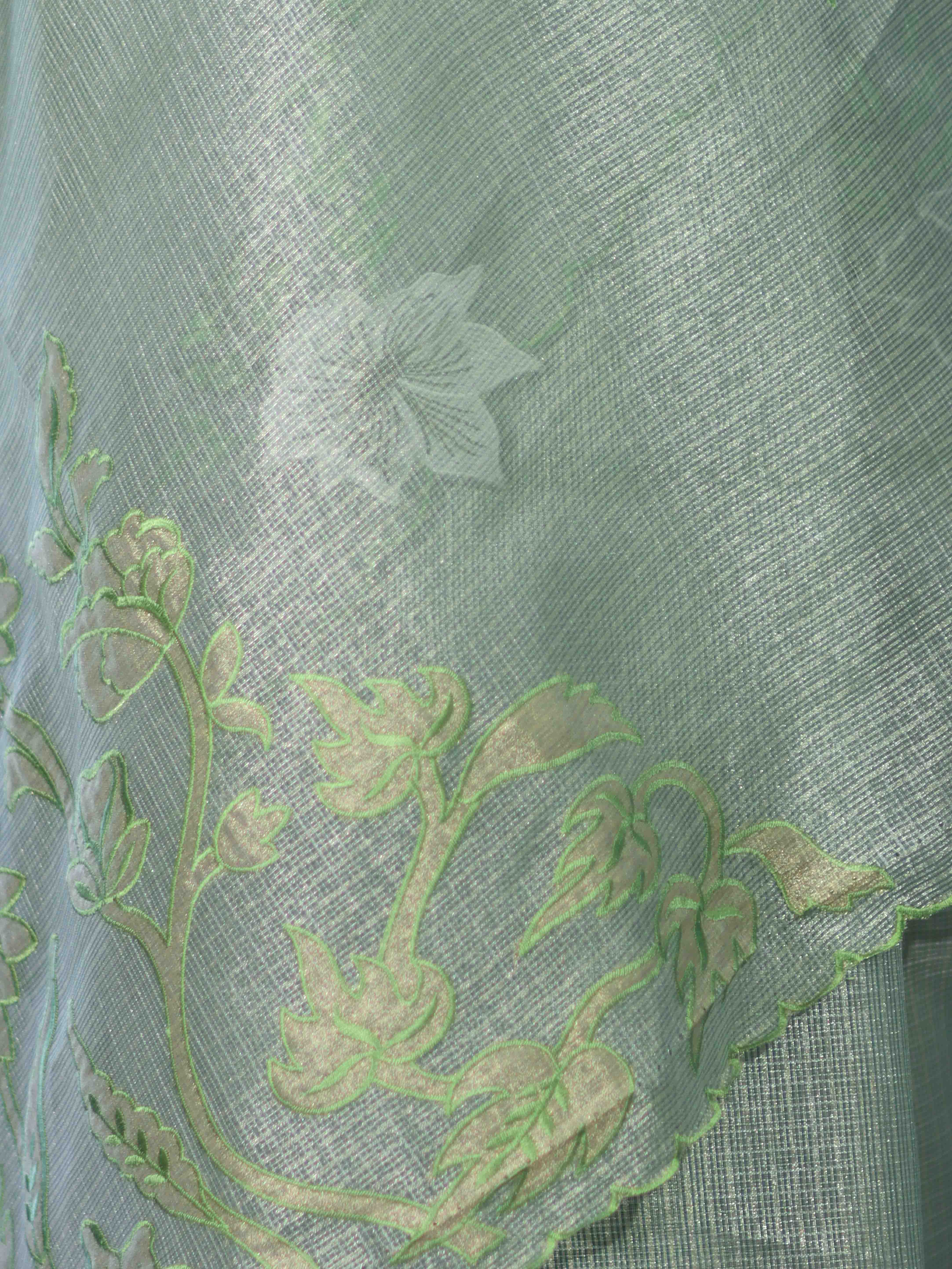 Banarasee Tissue Saree With Resham Embroidery Applique Work Pallu & Scallop Border-Light Green