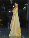 Banarasee Tissue Saree With Resham Embroidery Applique Work Pallu & Scallop Border-Yellow (Gold Tone)
