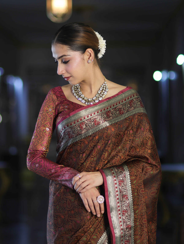 Banarasee Jamewar Tanchoi Soft Silk Saree with Contrast Border-Brown