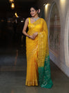 Banarasee Dual Color Organza Mix Saree With Zari & Resham Work-Yellow & Green