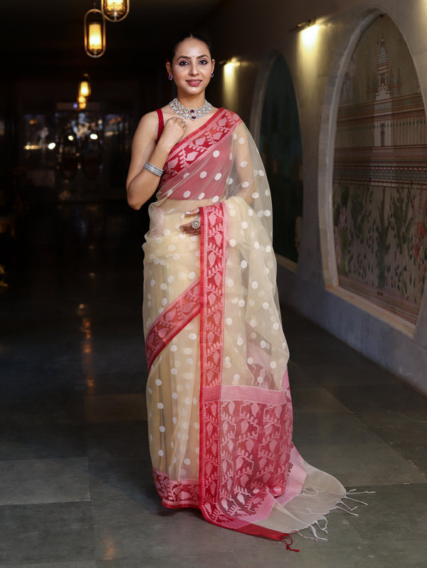 Banarasee Organza Mix Saree With Resham Work & Contrast Border-Cream & Maroon