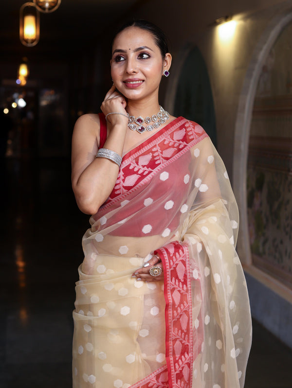 Banarasee Organza Mix Saree With Resham Work & Contrast Border-Cream & Maroon