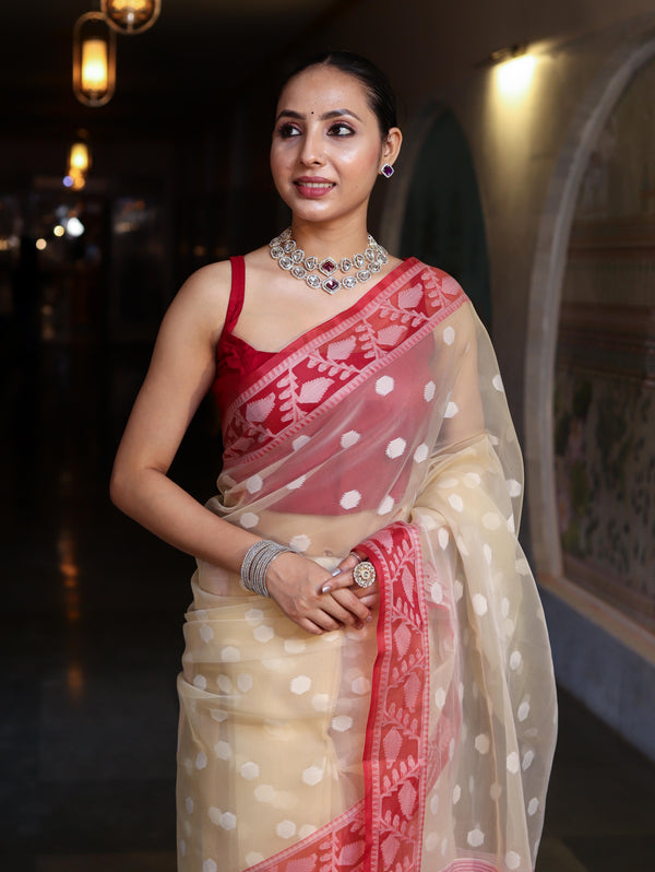 Banarasee Organza Mix Saree With Resham Work & Contrast Border-Cream & Maroon