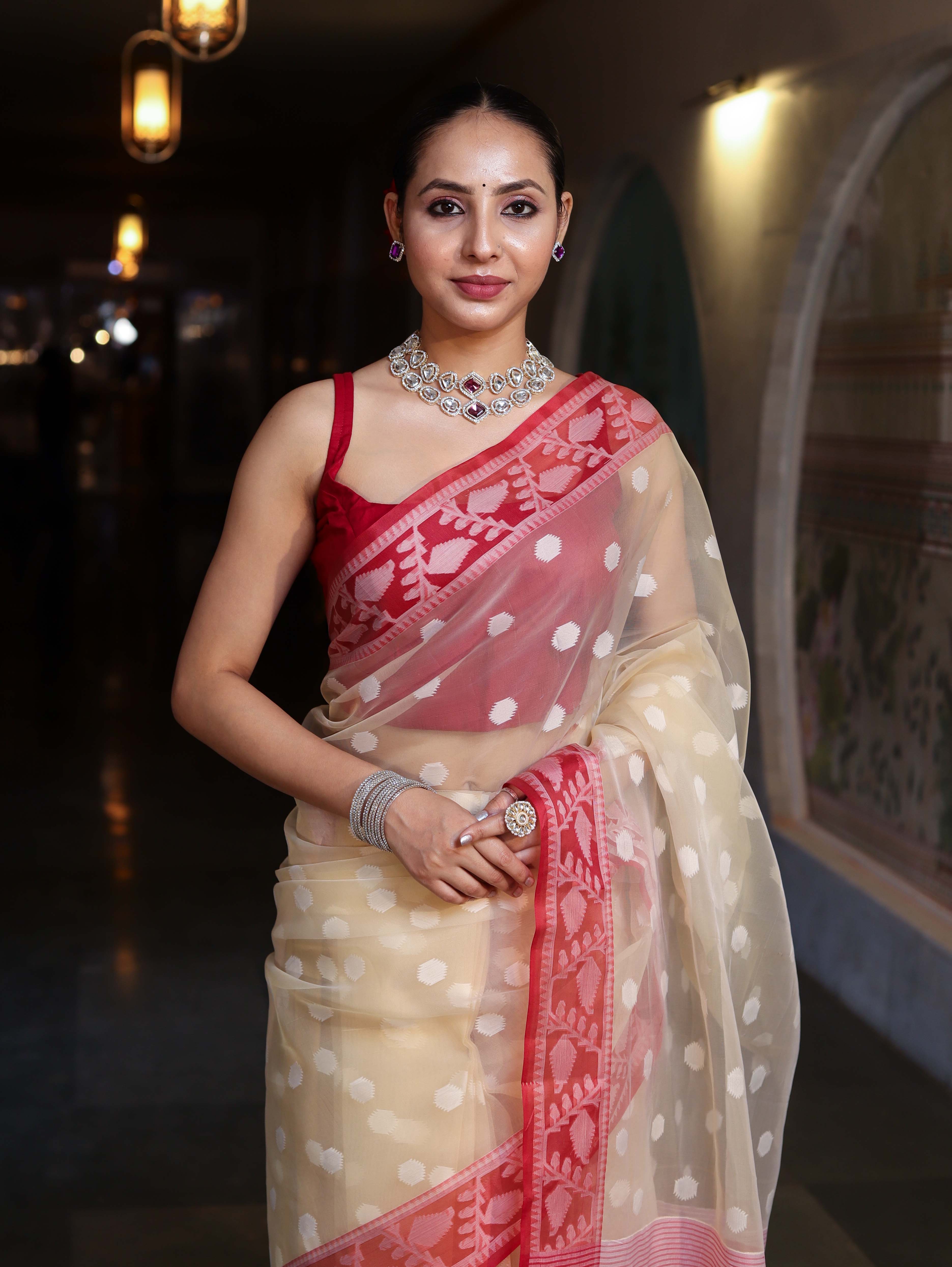 Banarasee Organza Mix Saree With Resham Work & Contrast Border-Cream & Maroon