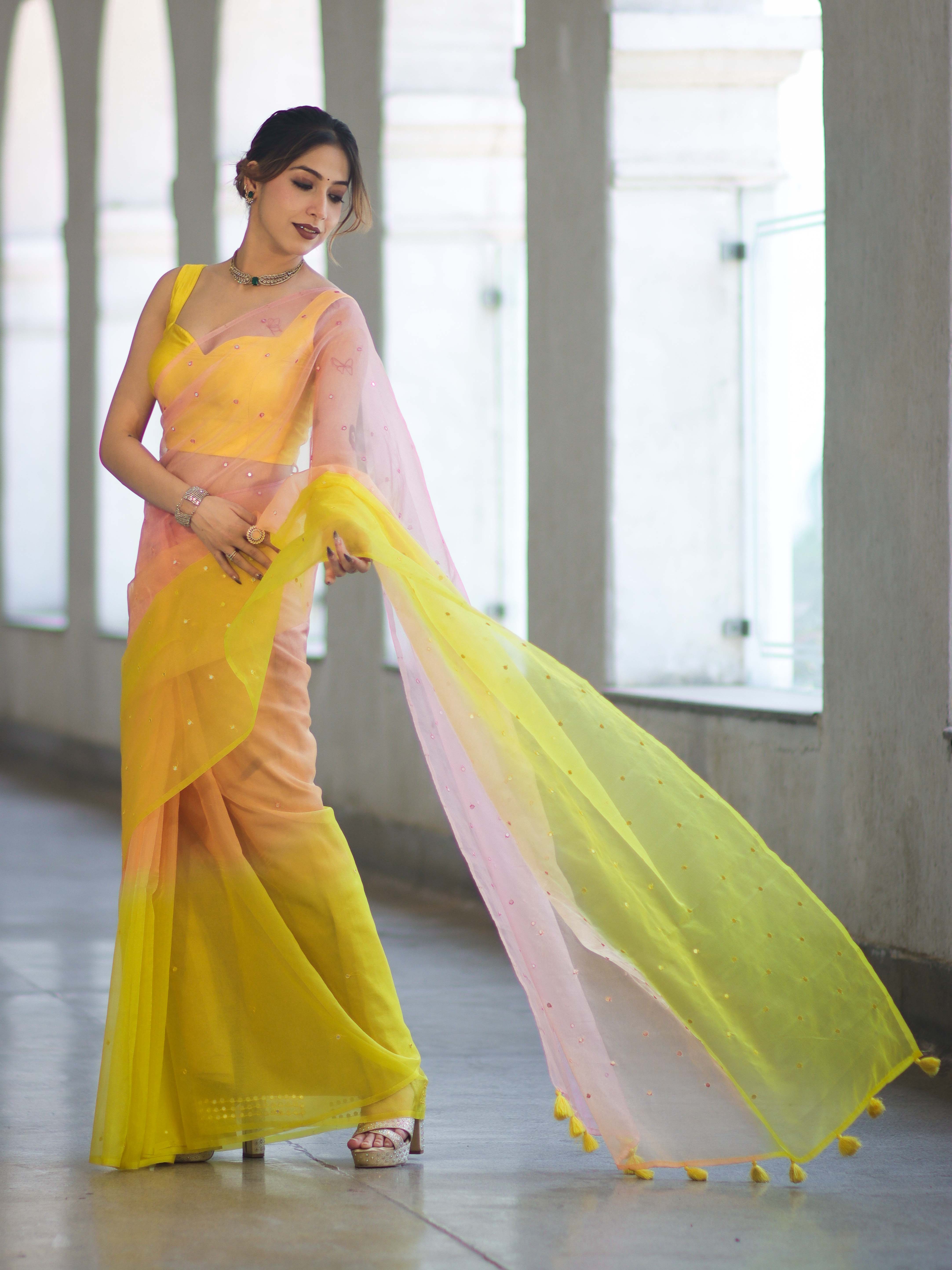 Banarasee Handwoven Organza Mix Saree With Mirror Work-Multicolor