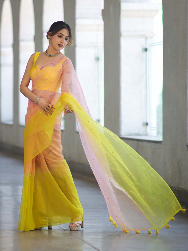 Banarasee Handwoven Organza Mix Saree With Mirror Work-Multicolor