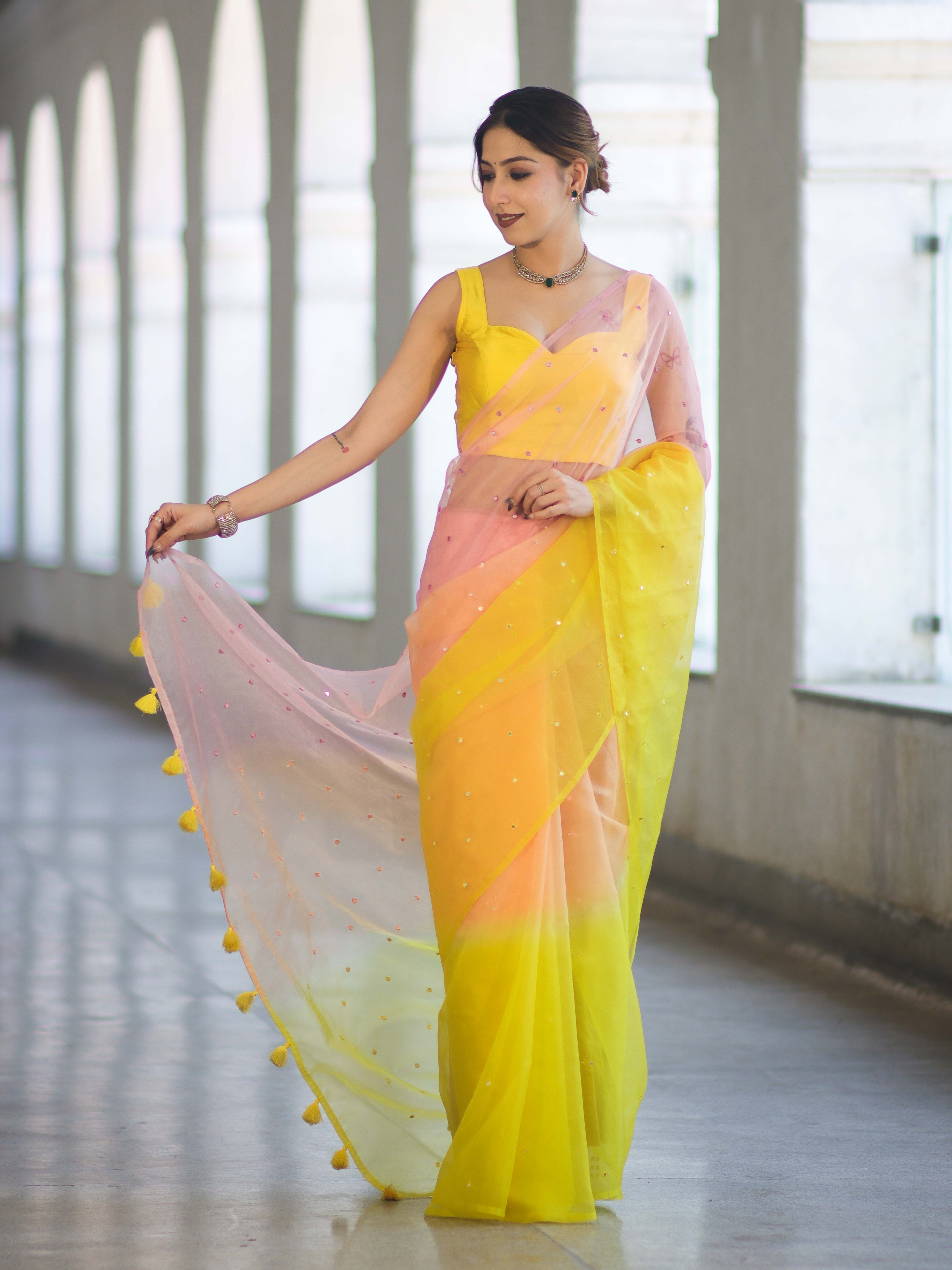 Banarasee Handwoven Organza Mix Saree With Mirror Work-Multicolor