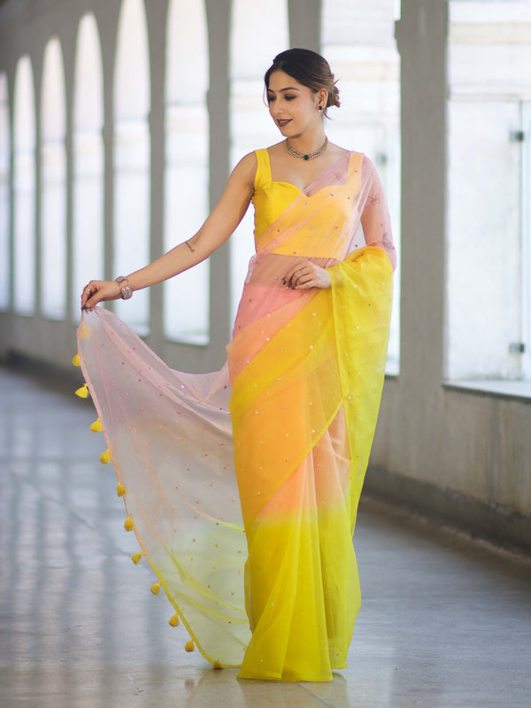 Banarasee Handwoven Organza Mix Saree With Mirror Work-Multicolor