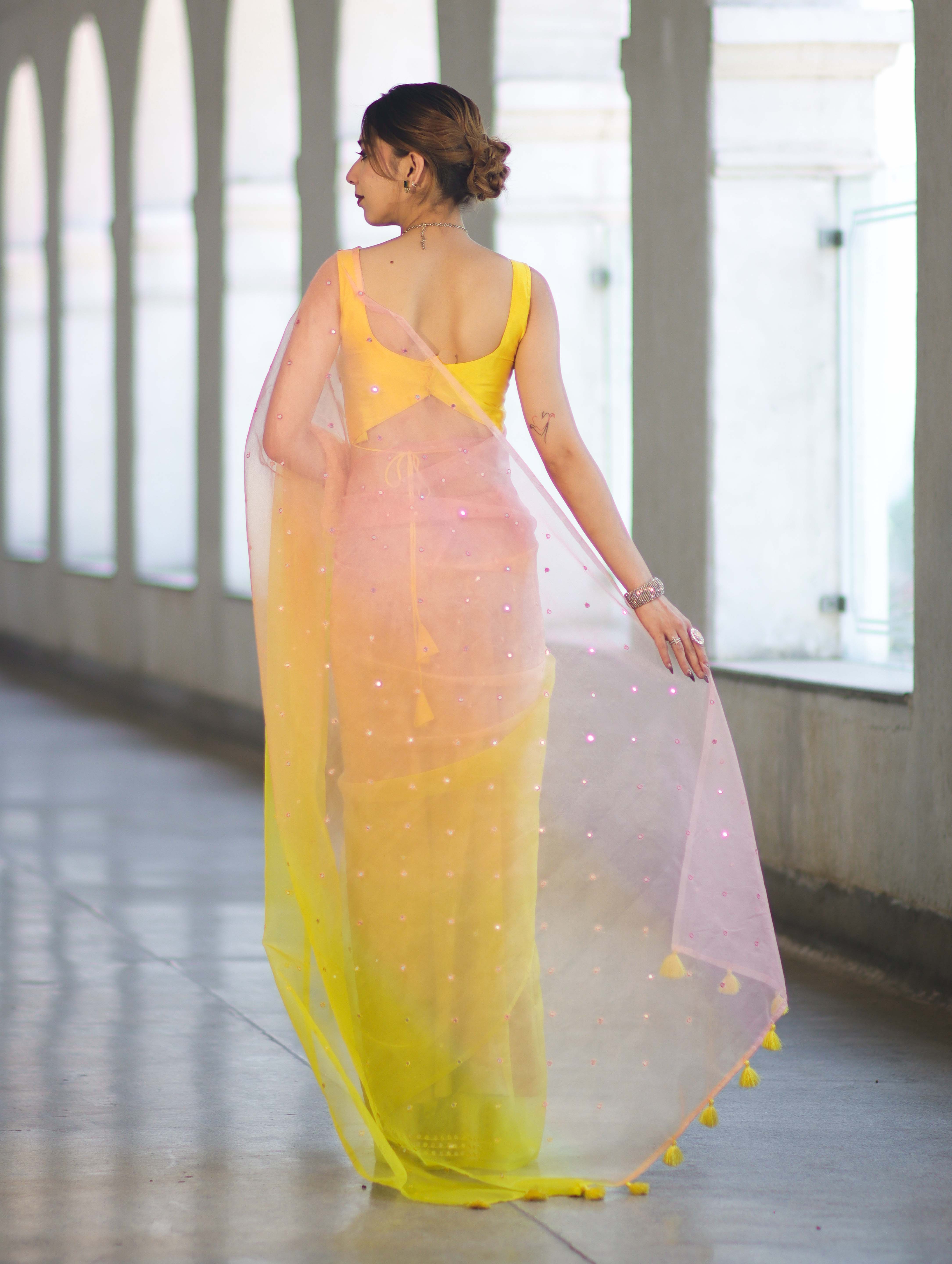 Banarasee Handwoven Organza Mix Saree With Mirror Work-Multicolor