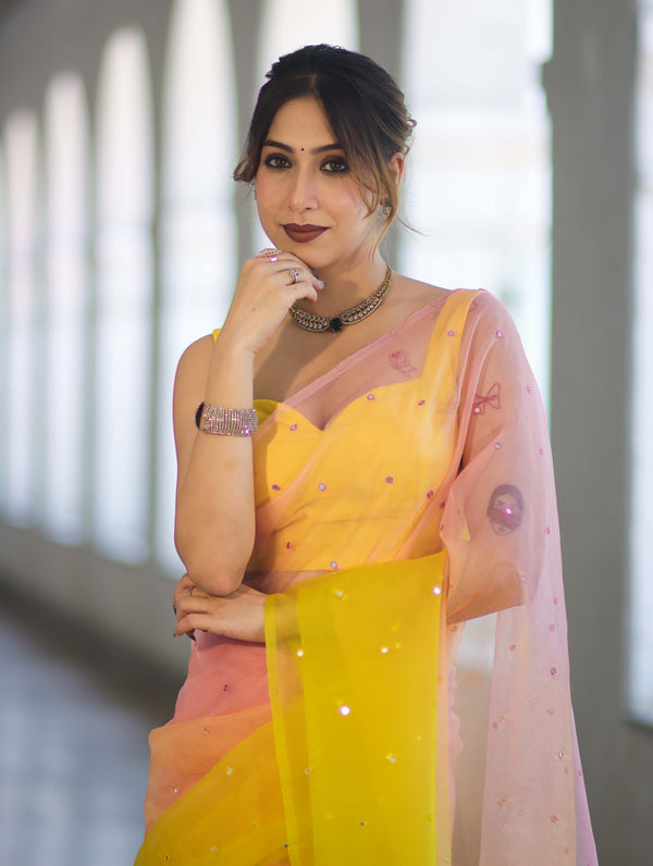 Banarasee Handwoven Organza Mix Saree With Mirror Work-Multicolor
