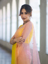 Banarasee Handwoven Organza Mix Saree With Mirror Work-Multicolor