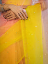 Banarasee Handwoven Organza Mix Saree With Mirror Work-Multicolor