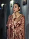Banarasee Zari Embroidered Chanderi Silk Salwar Kameez With Dupatta Set-Brown