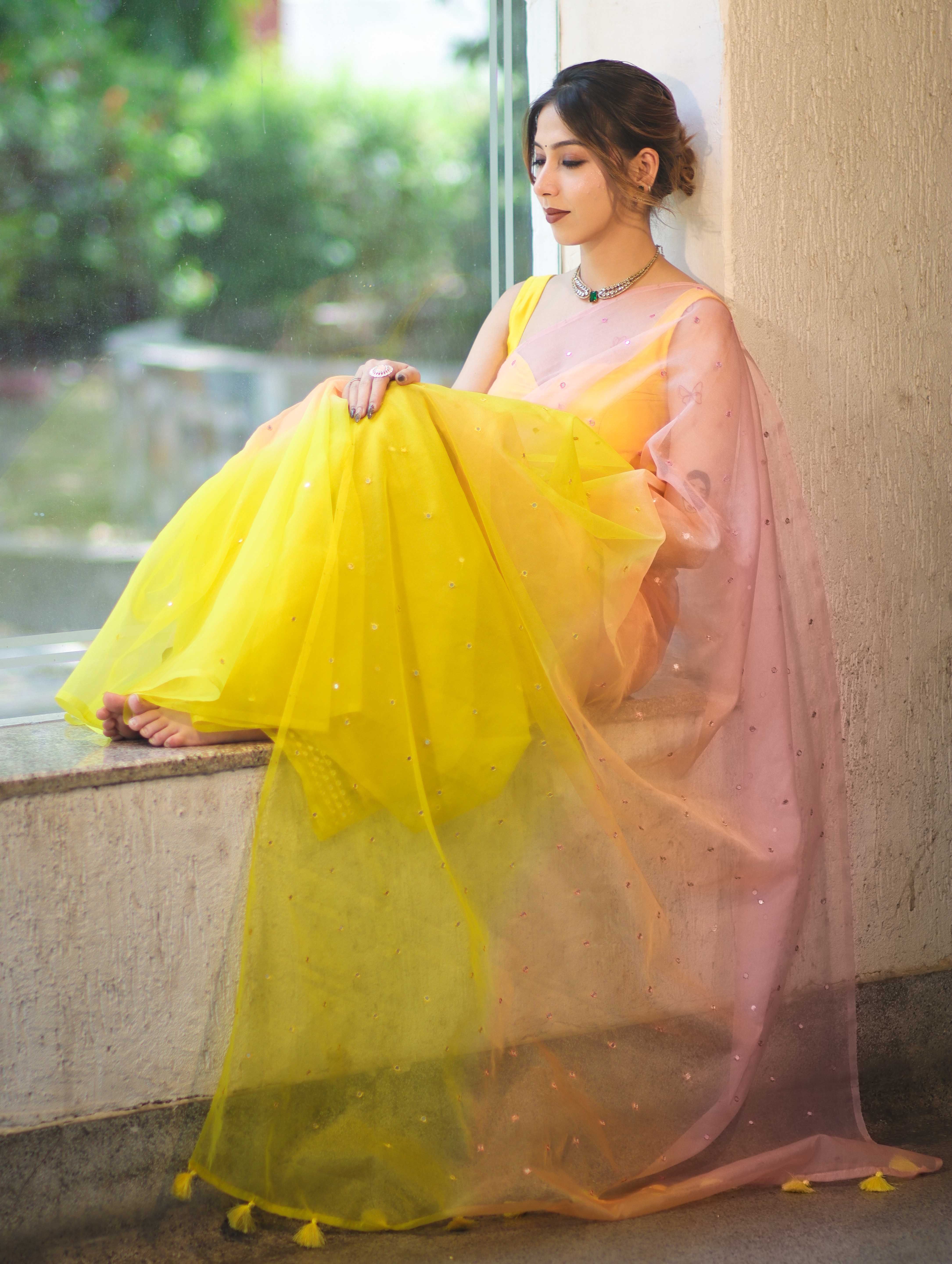 Banarasee Handwoven Organza Mix Saree With Mirror Work-Multicolor